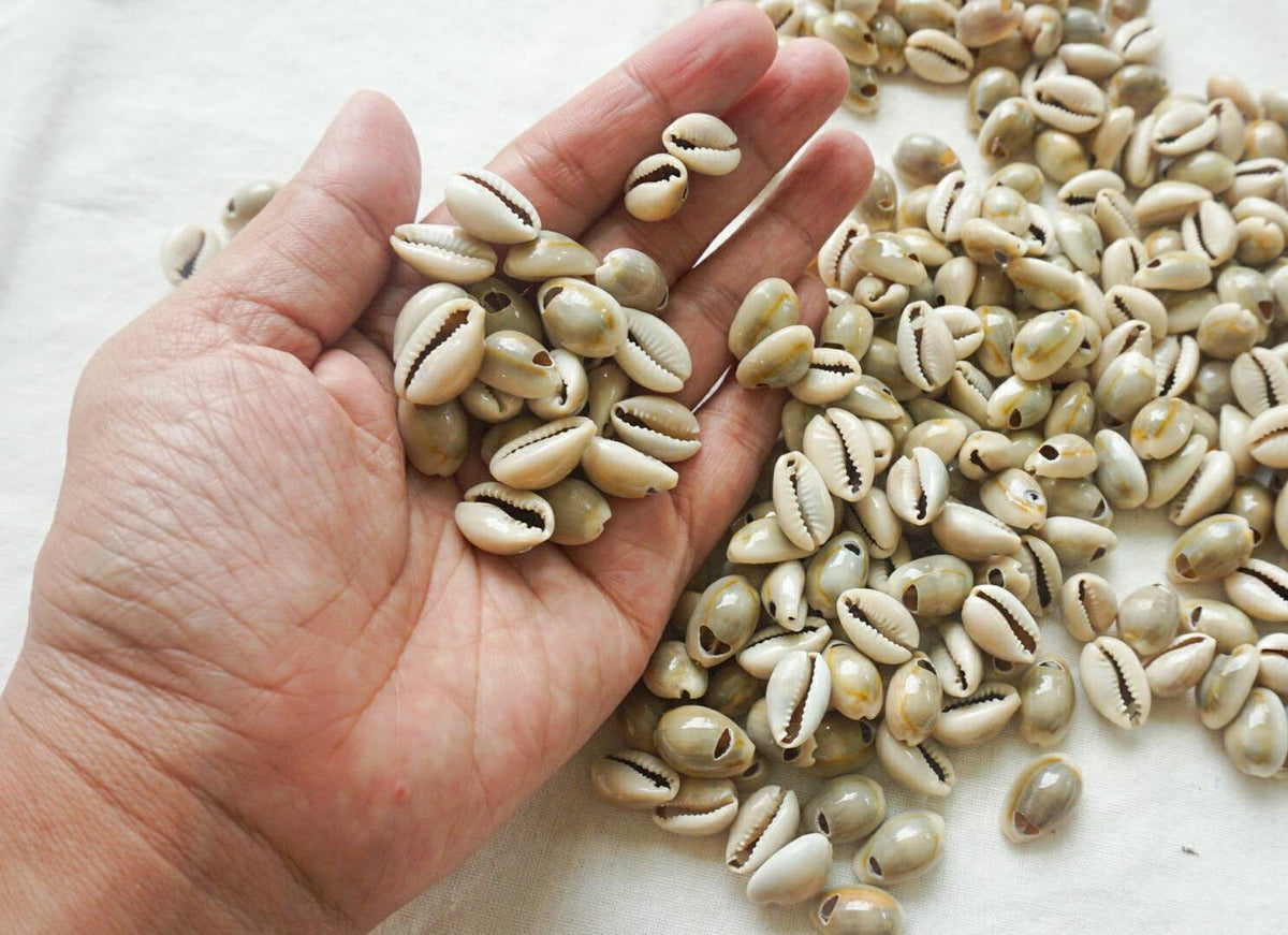 Natural Drilled Cowrie Shell Beads – Craft Supply