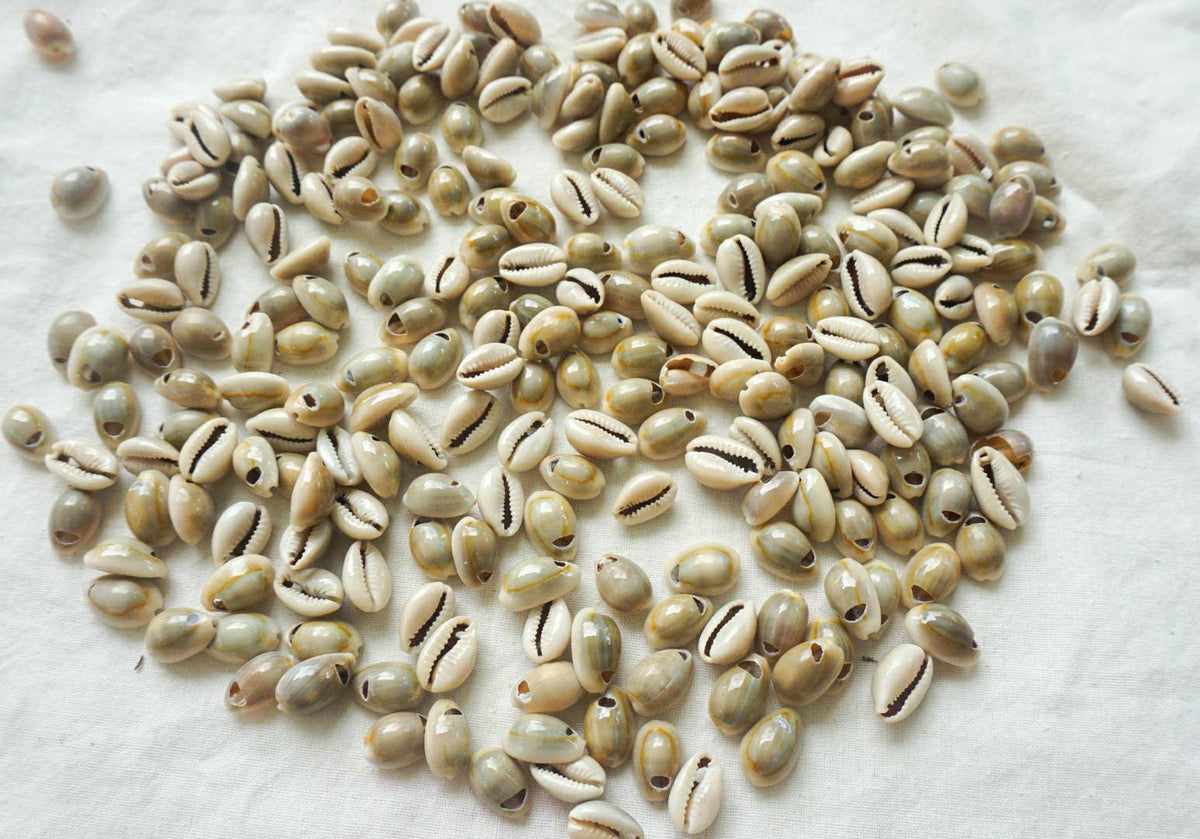 Natural Drilled Cowrie Shell Beads – Craft Supply