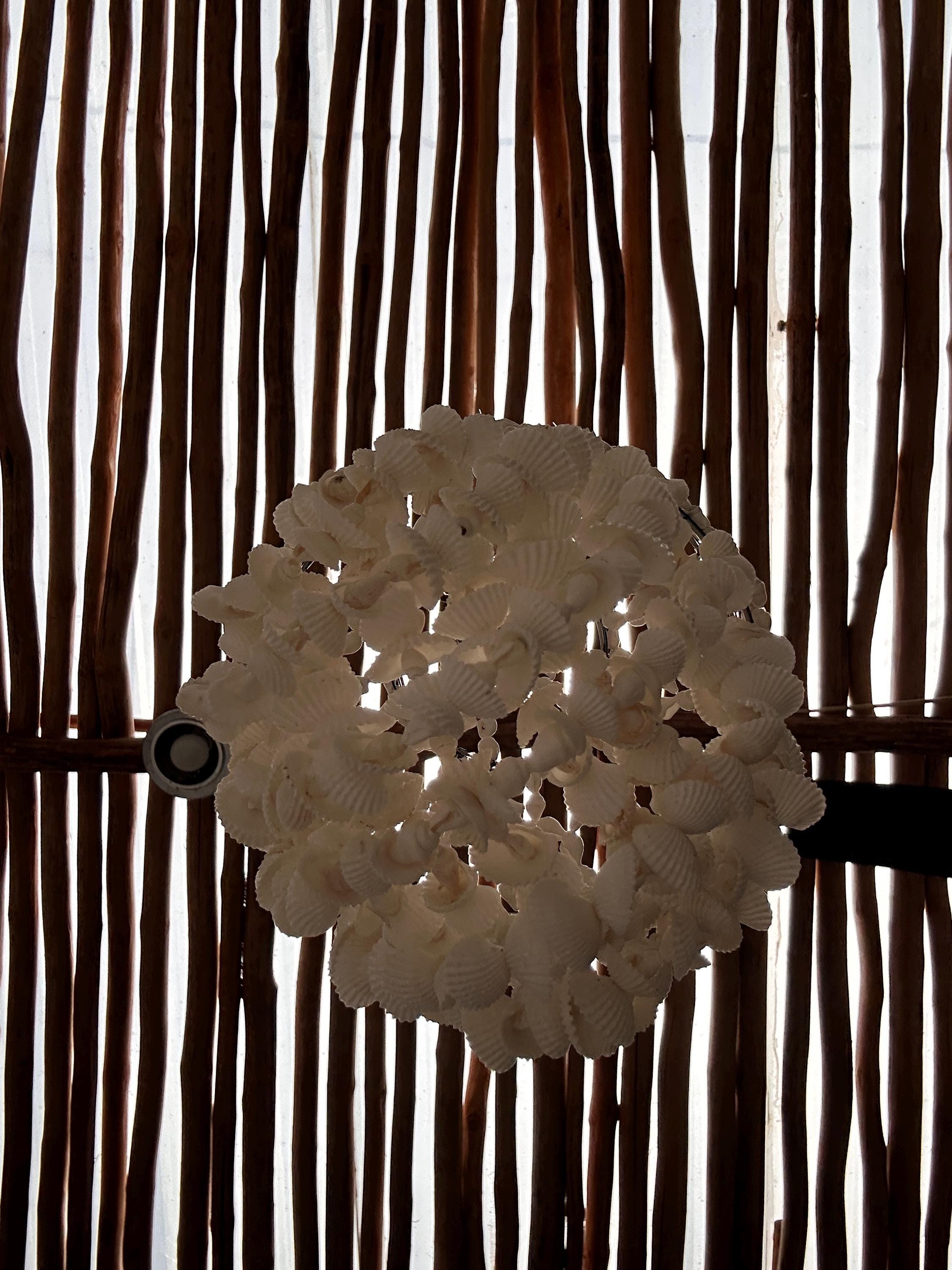 Style 6 Small Sea Shell Pendant Light – Boho Coastal Chandelier