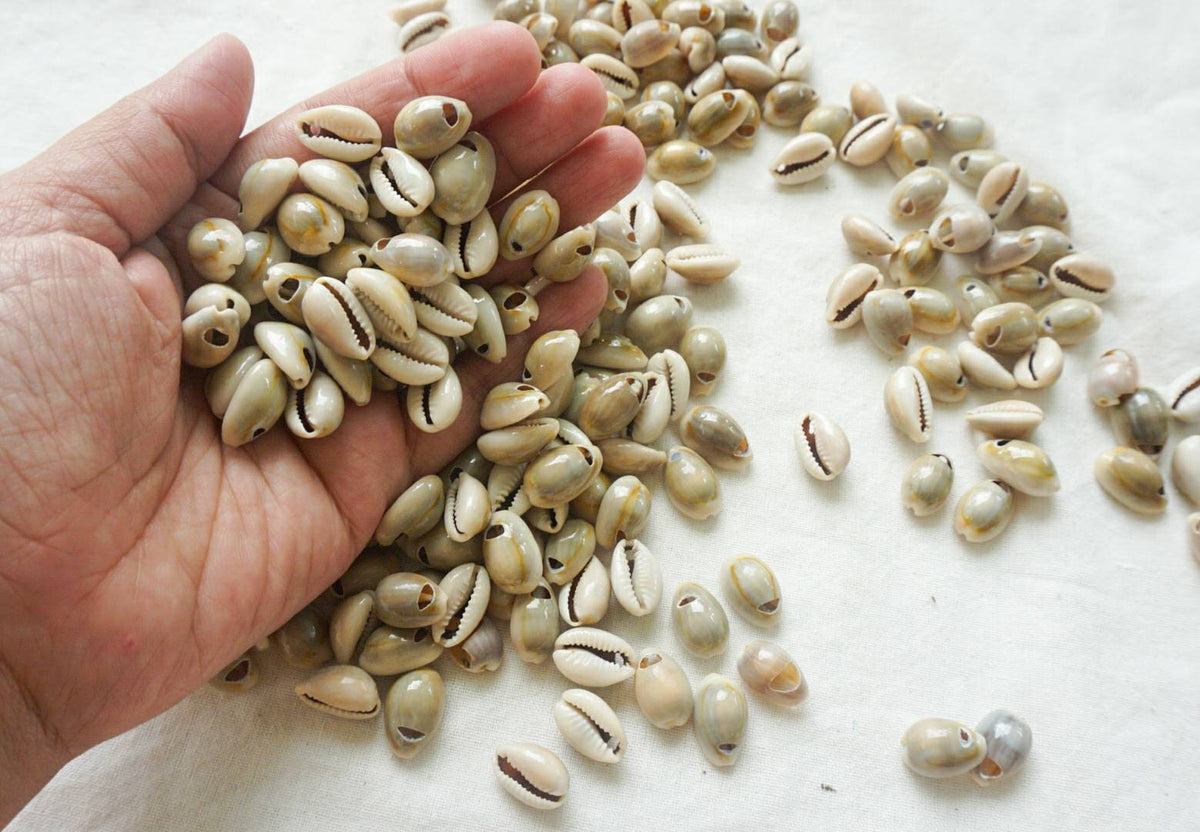 Natural Drilled Cowrie Shell Beads – Craft Supply