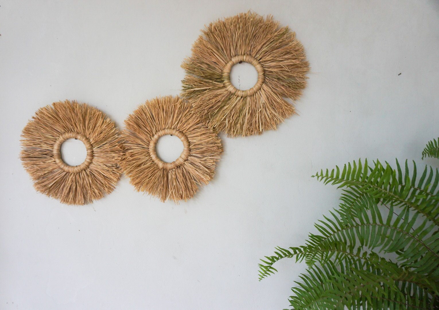 Set of 3 Seagrass Fringe Round Wall Decor