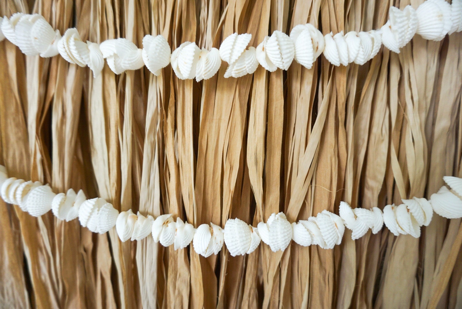 Hawaiian Raffia Wall Hanging with Shells