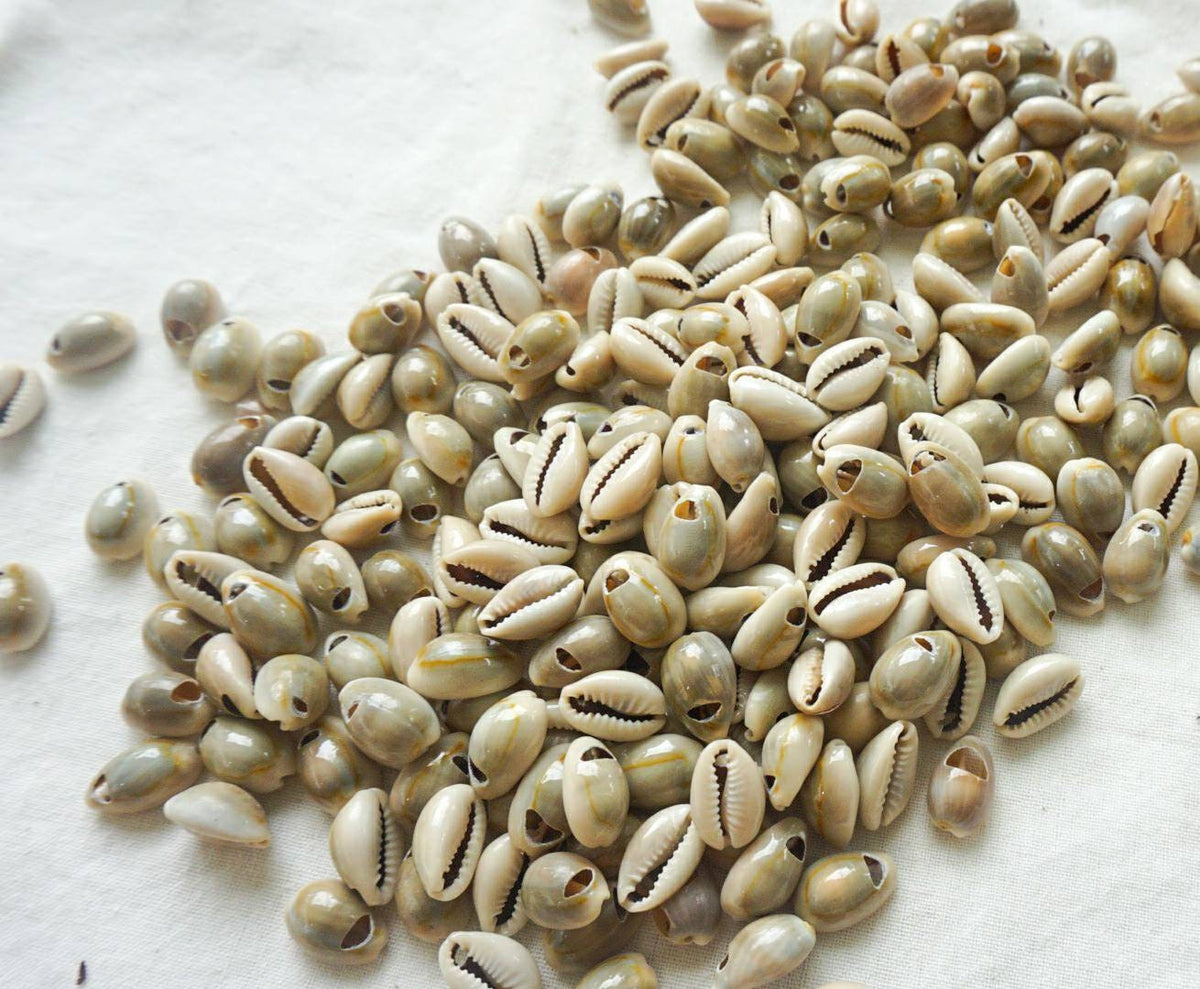 Natural Drilled Cowrie Shell Beads – Craft Supply