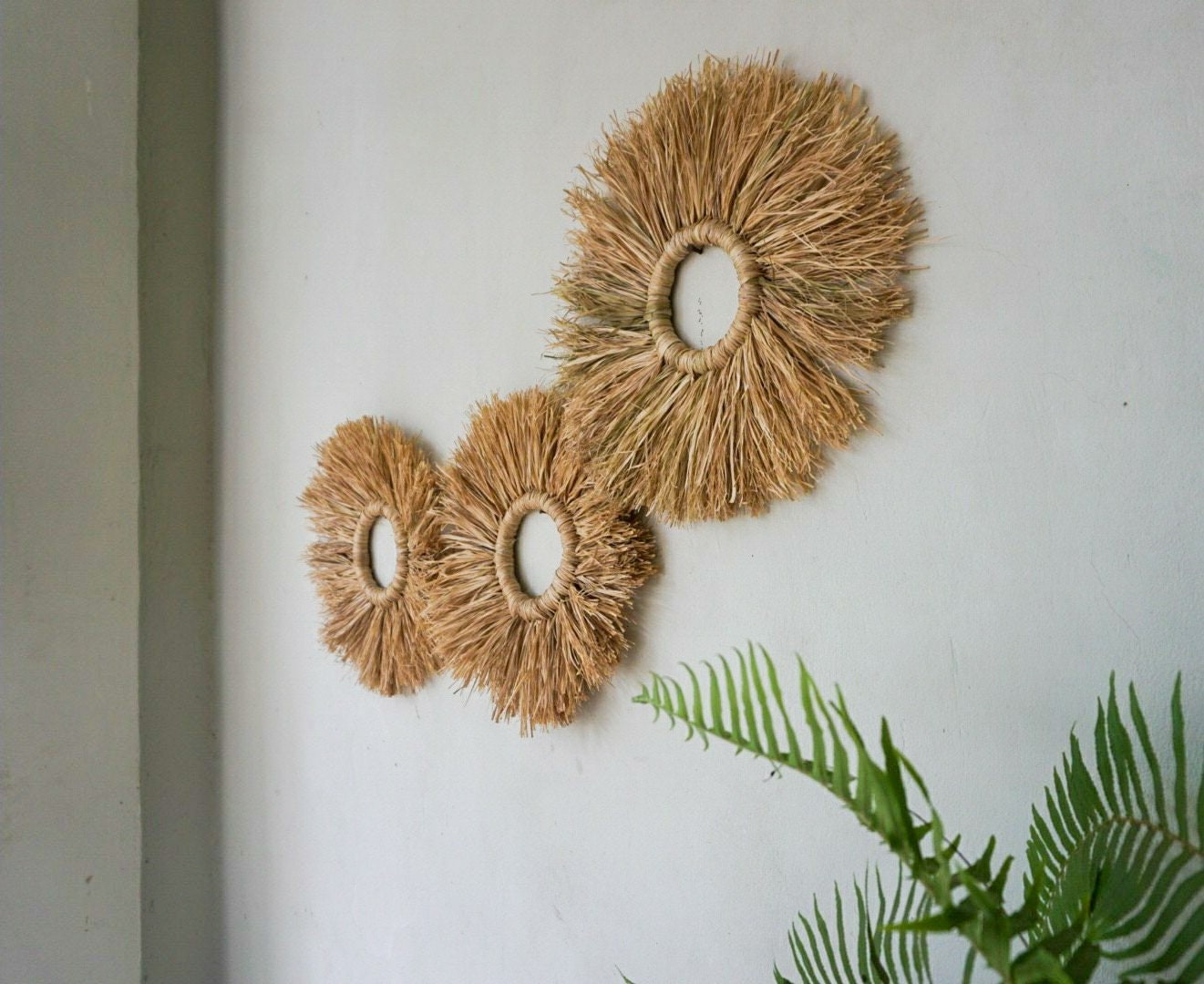 Set of 3 Seagrass Fringe Round Wall Decor