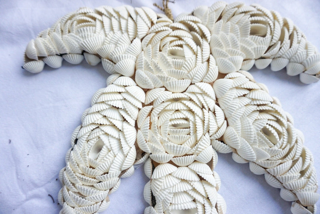 White shells flower wall hanging | sea shells palm shape wall decor | beach house wall hanging