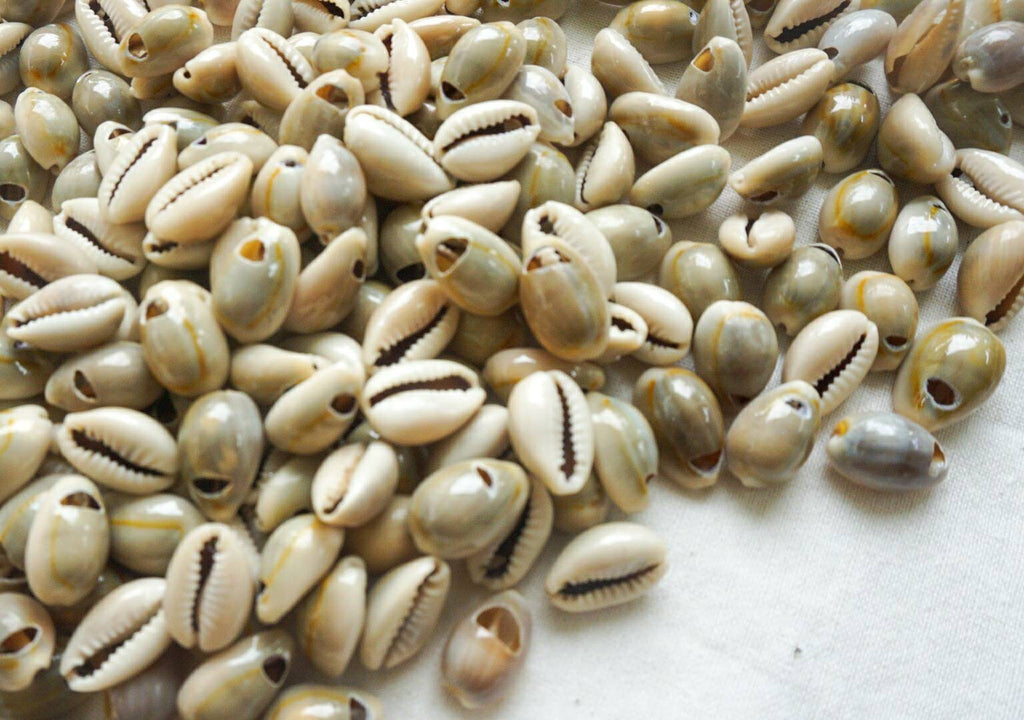 Natural Drilled Cowrie Shell Beads – Craft Supply