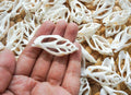 Sliced sea shell material | sea shell for crafting | natural sea shell for DIY | DIY kit