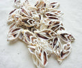 Sliced sea shell material | sea shell for crafting | natural sea shell for DIY | DIY kit