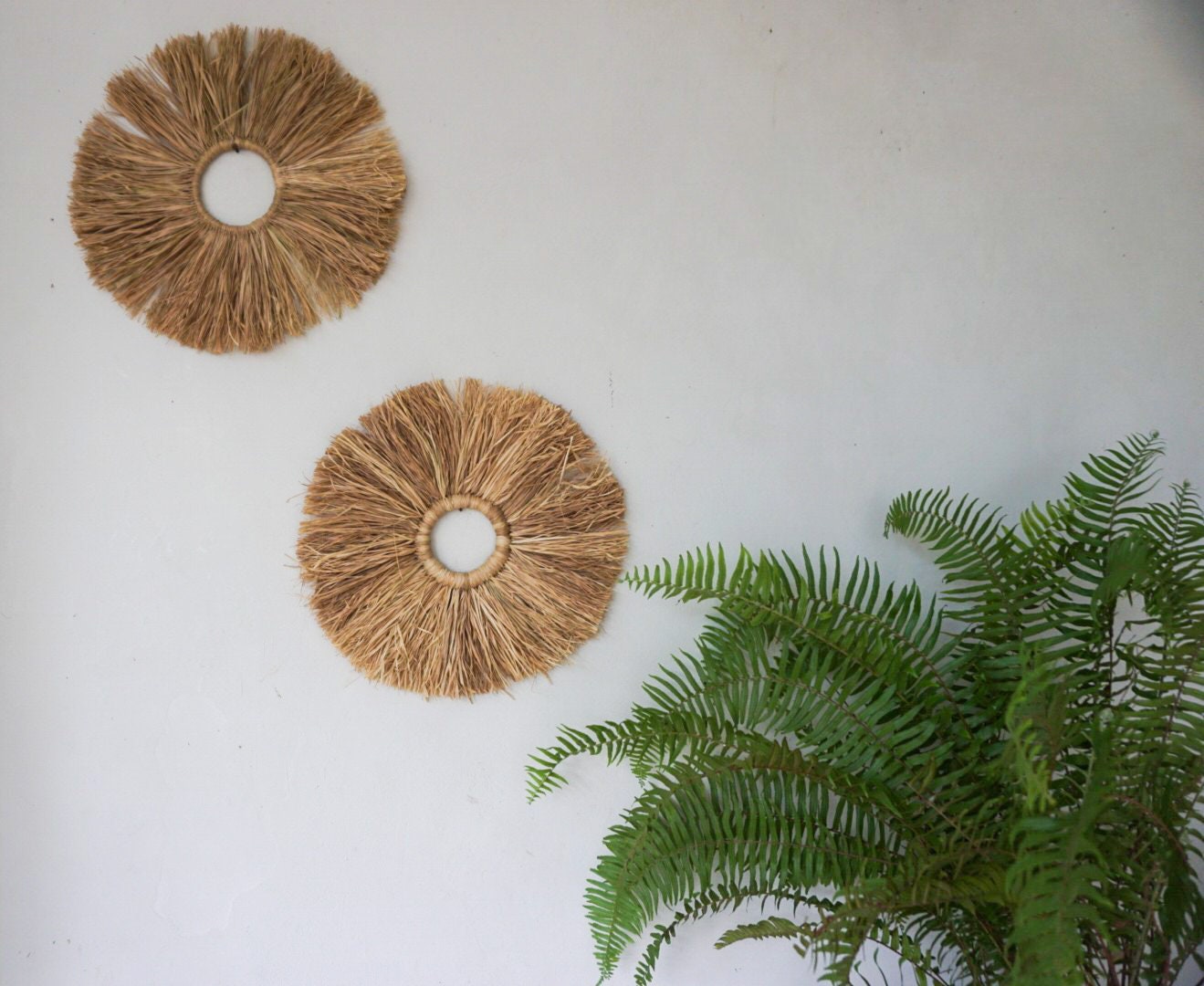 Set of 3 Seagrass Fringe Round Wall Decor