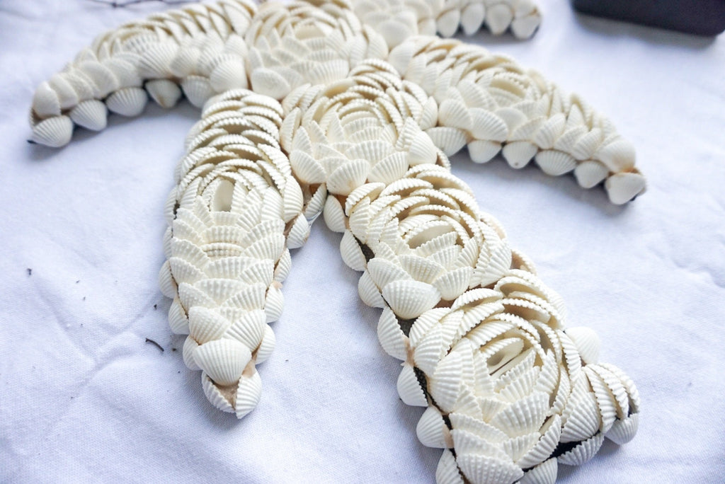 White shells flower wall hanging | sea shells palm shape wall decor | beach house wall hanging