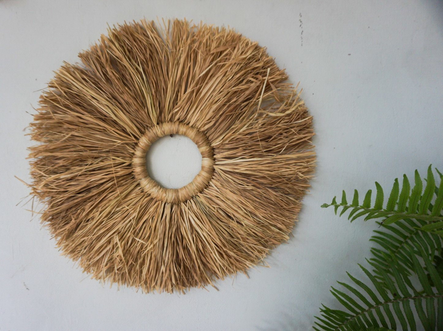 Set of 3 Seagrass Fringe Round Wall Decor