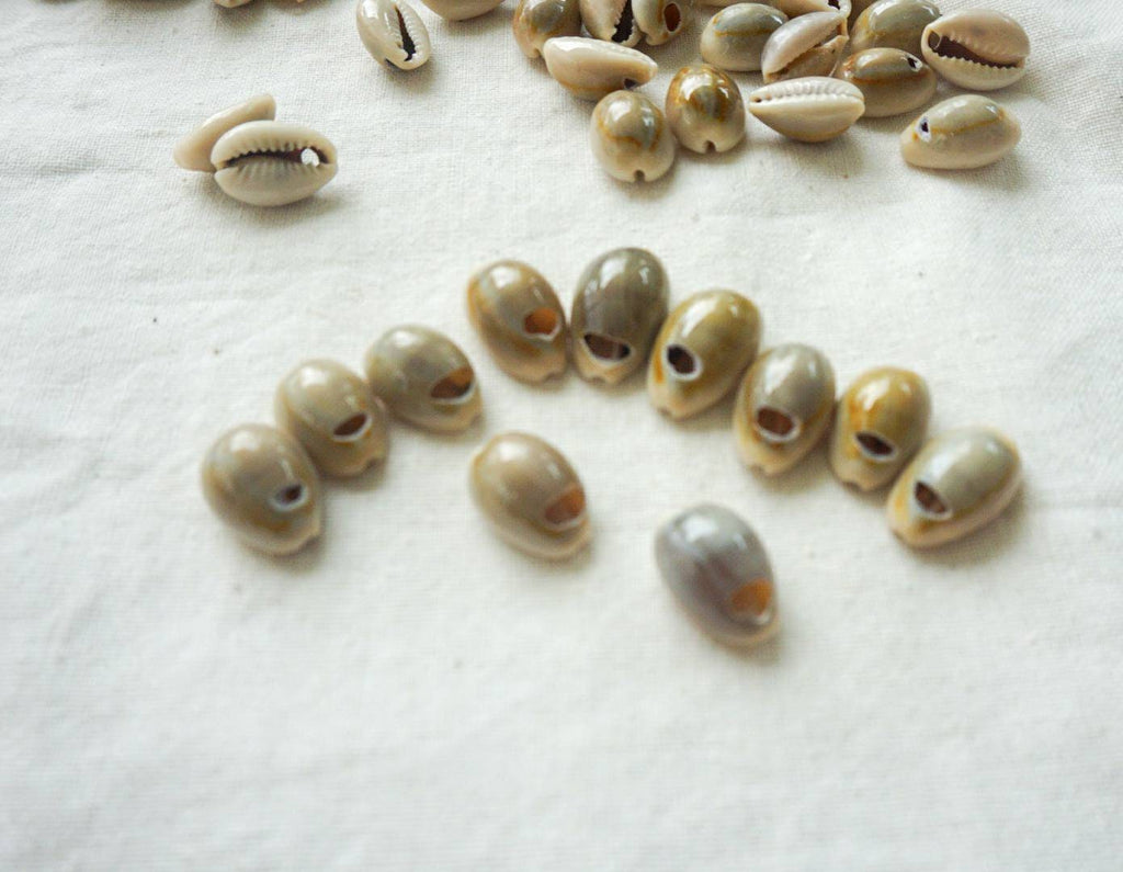 Natural Drilled Cowrie Shell Beads – Craft Supply
